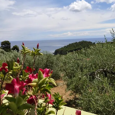 Elia House 2 Astoning View Among The Olive Trees Tatil Evi