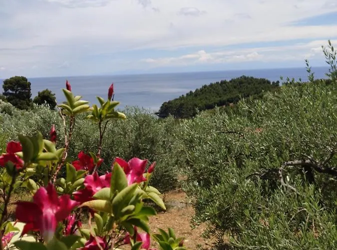 Elia House 2 Astoning View Among The Olive Trees Casa de Férias